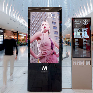 Freestanding Digital Kiosk